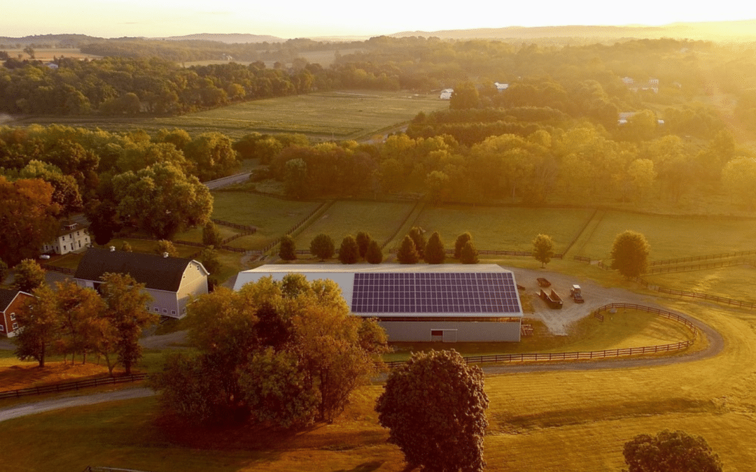 Vergelijking: Balkoncentrale of PV-systeem?